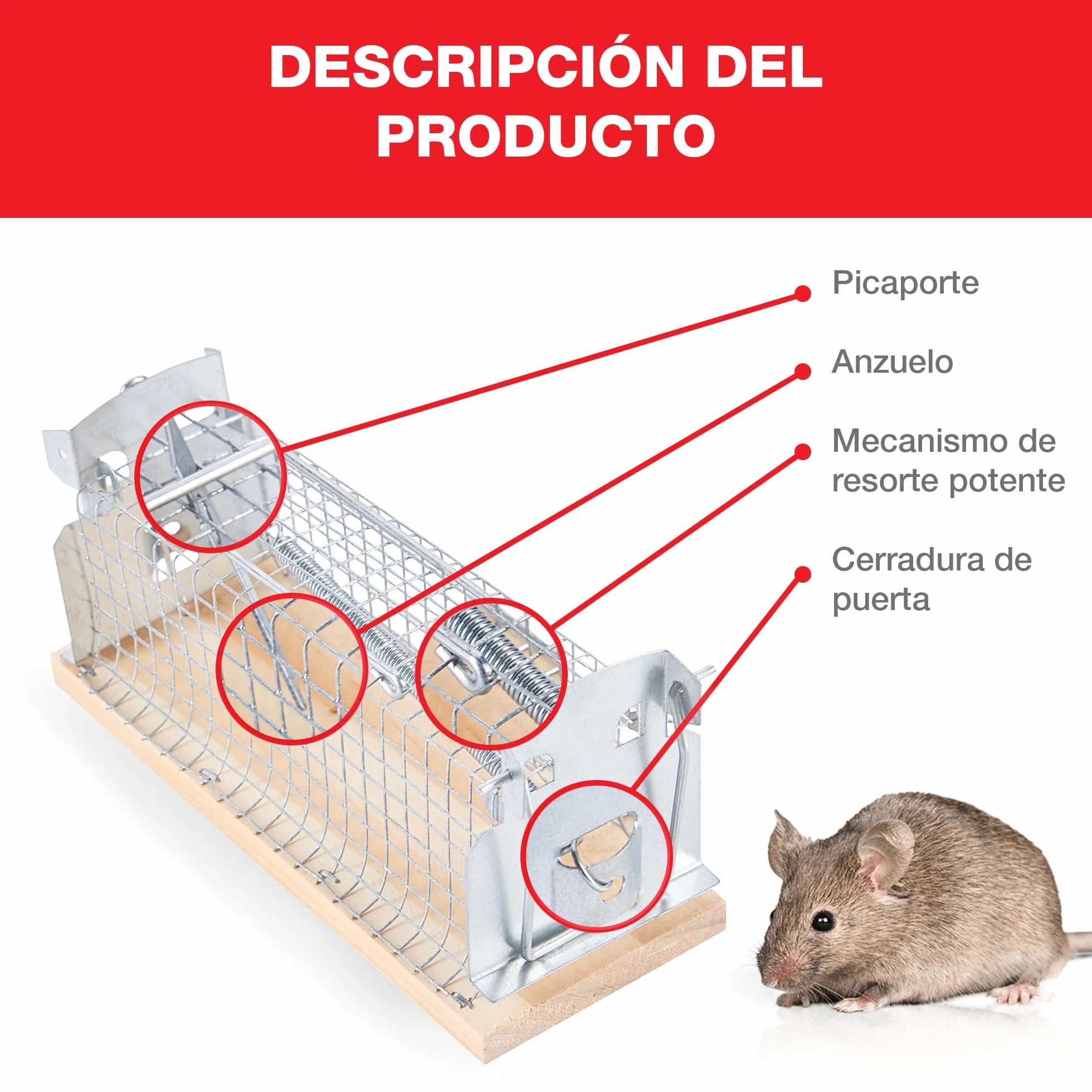 SWISSINNO Jaula para Ratones, Construida en madera y metal, Atrapar + soltar, Diseño seguro, Uso interior y exterior, Segura para niños y mascotas, Fabricado en Europa, 1x Trampa