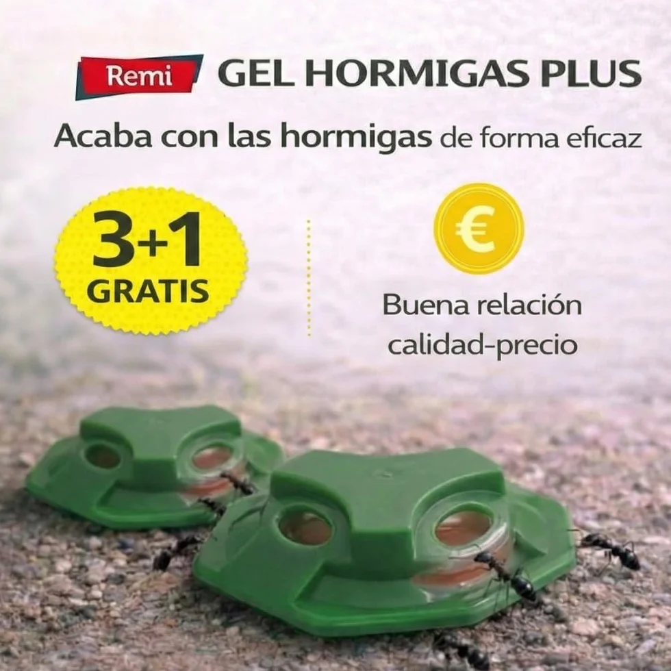Remi Hogar Defens Gel Hormigas | Pack 4 Trampas Insecticida Hormigas | Cebo Insecticida Listo para Usar | Elimina Hormigas y el Hormiguero | Uso Interior y Exterior | Alta eficacia | Listo para Usar
