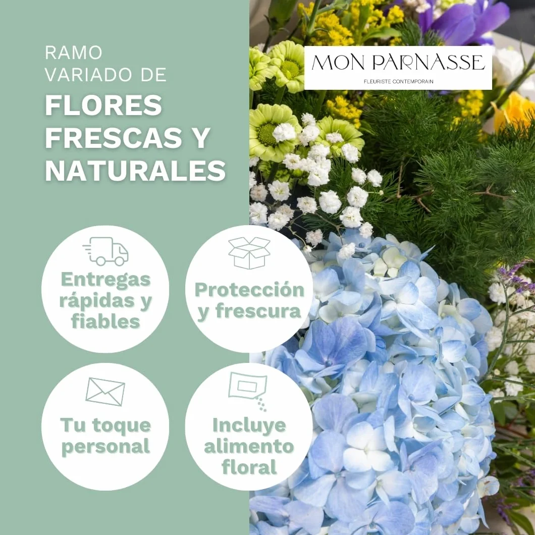 Mon Parnasse - Ramo de Flores Naturales con Dedicatoria, Incluye Tarjeta Personalizada, Set Alimento Floral, Envoltorio Elegante, Regalo, Decoración, Frescura y Aroma - Radiante