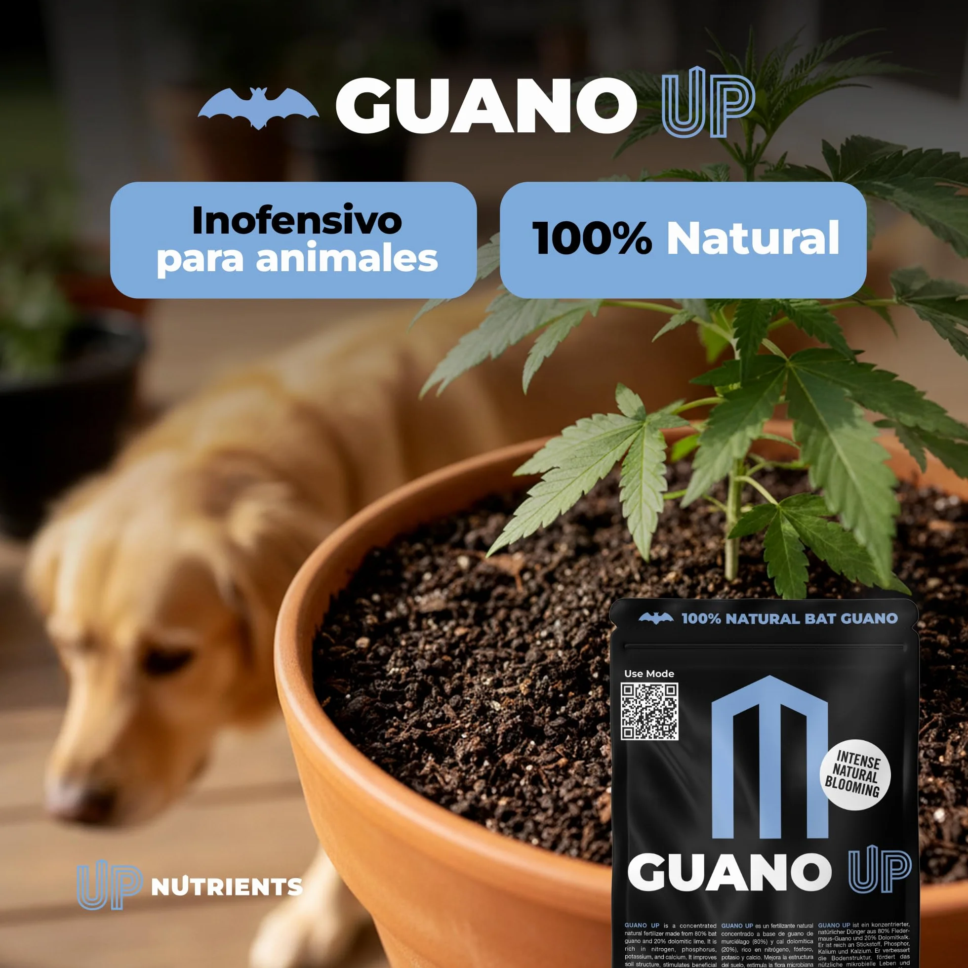 UP NUTRIENTS Fertilizante GUANO UP de Murcielago 100% Natural 1 Kg | Abono Natural con Cal Dolomita | Plantas y Cultivos | Agricultura Ecologica Floracion Intensa, Mejora Sustrato y Crecimiento