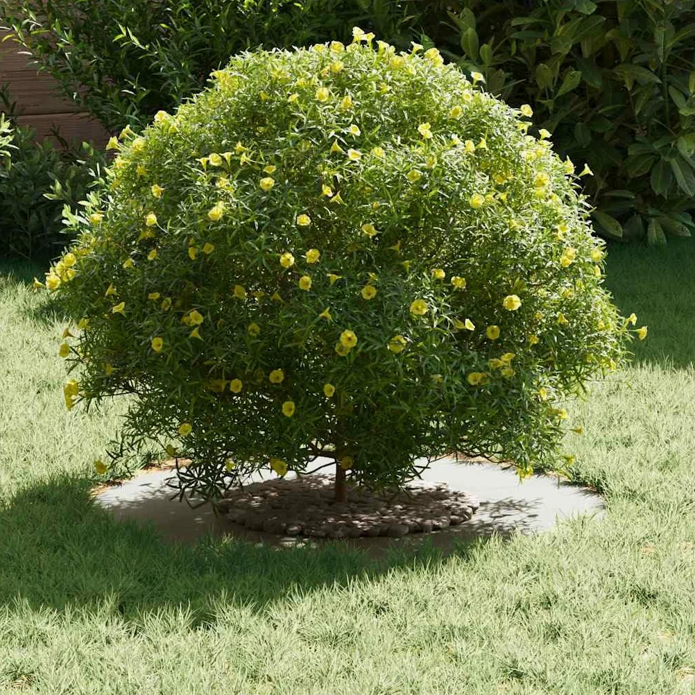 Hothingwell Anillos de Arbol Plano 5 uds 30/60 cm Acero | Decorativo exterior, protege raices, facil montaje, resistente clima, diseño moderno