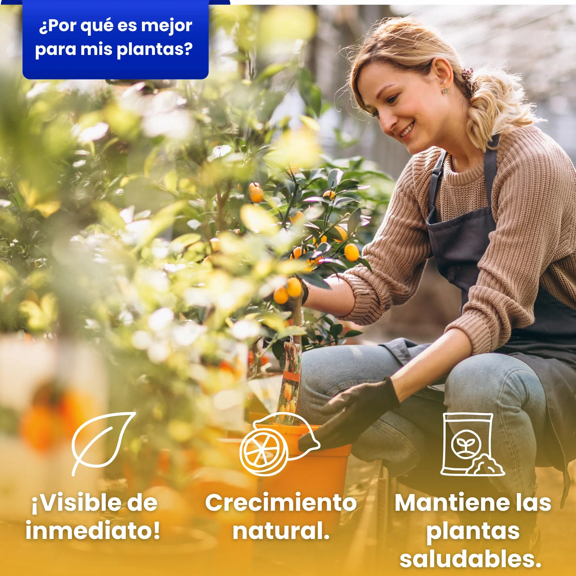 LERAVA Abono cítricos (3,6 kg) - fertilizante natural de altramuces molidos para limonero y naranjo - ideal para mandarino, kumquat y pomelo - mejora crecimiento, vigor y follaje en plantas acidófilas