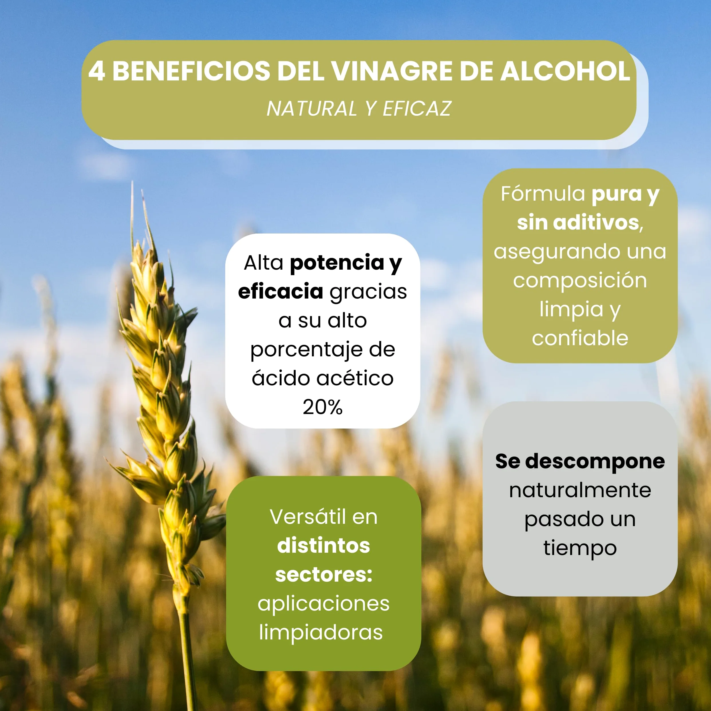 Vinagre Concentrado al 20% - 20L – Origen Natural de Alcohol de Cereal – Sin Residuo - Acción Limpiador Profundo - Elimina Moho y Hongos (20L)