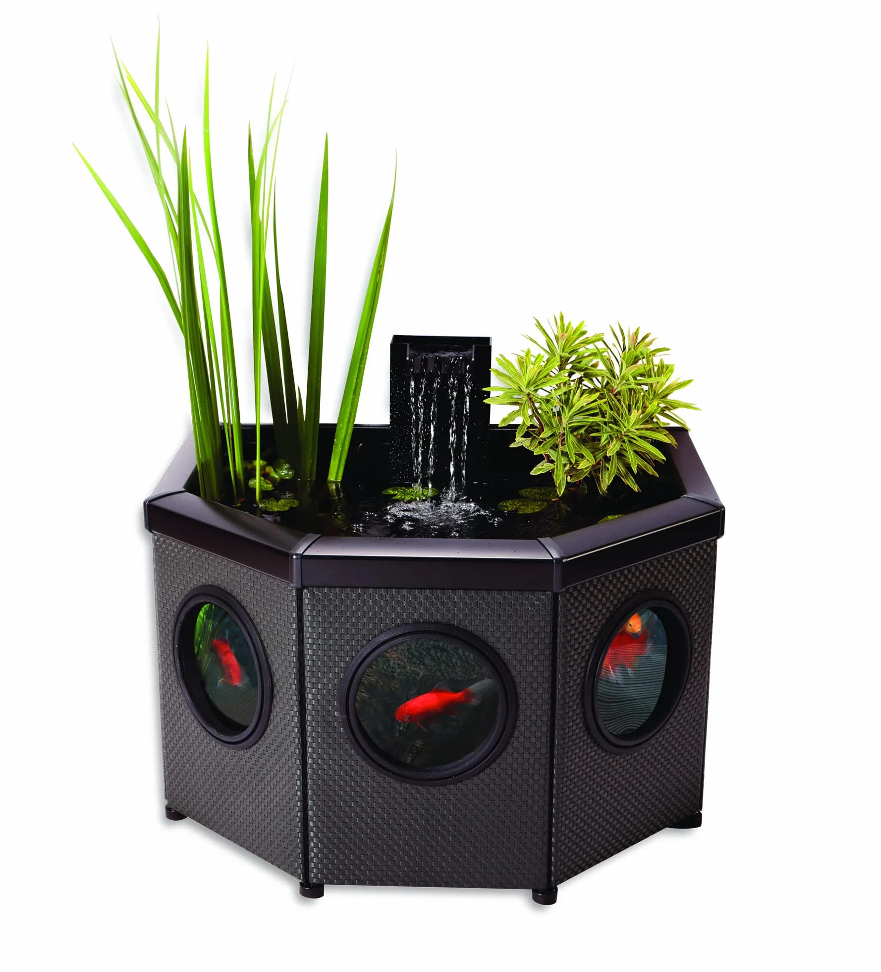Aquagarden, Affinity, Kit Completo de Estanque Alto con Ventanas – en Forma de Media Luna, Piscina con Fuente de Agua, Incluye Bomba de Agua y Estanque Inpond 5 en 1 2000 con clarificador UV, Tres