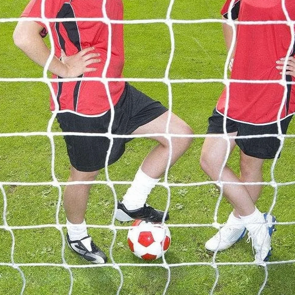 DEWIN Red de Portería de Fútbol, Red de Repuesto 8x6ft para Entrenamiento