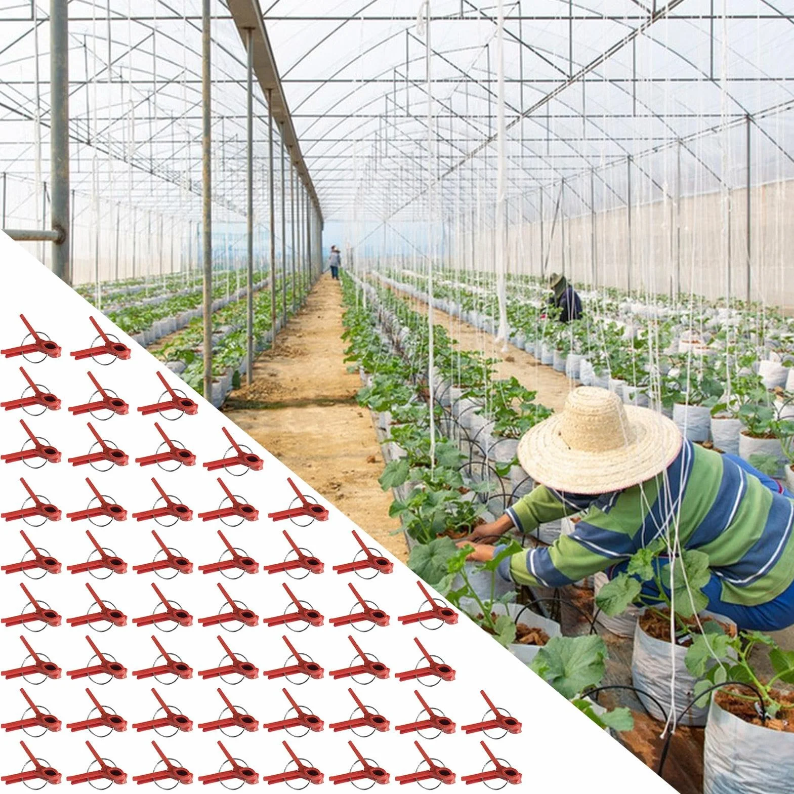 Clips de injerto de plantas, clips de injerto de vegetales | Paquete de 50 abrazaderas de fijación de plantas,Soporte de escalada en la connectas para una enredadera de vegetales, conector de jardiner