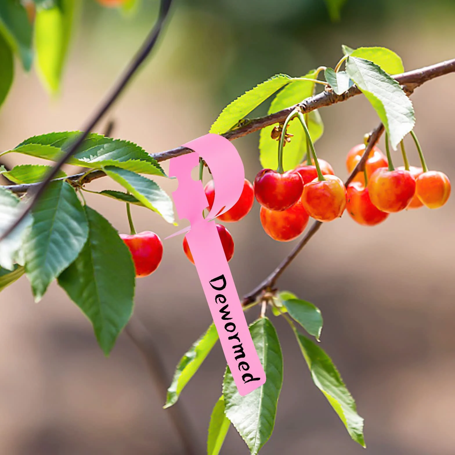Etiquetas de Plástico para Plantas 300 Piezas, Etiquetas de Jardín Marcadores para Plantas Etiquetas Grandes para Árboles para Viveros Semillas Huerto
