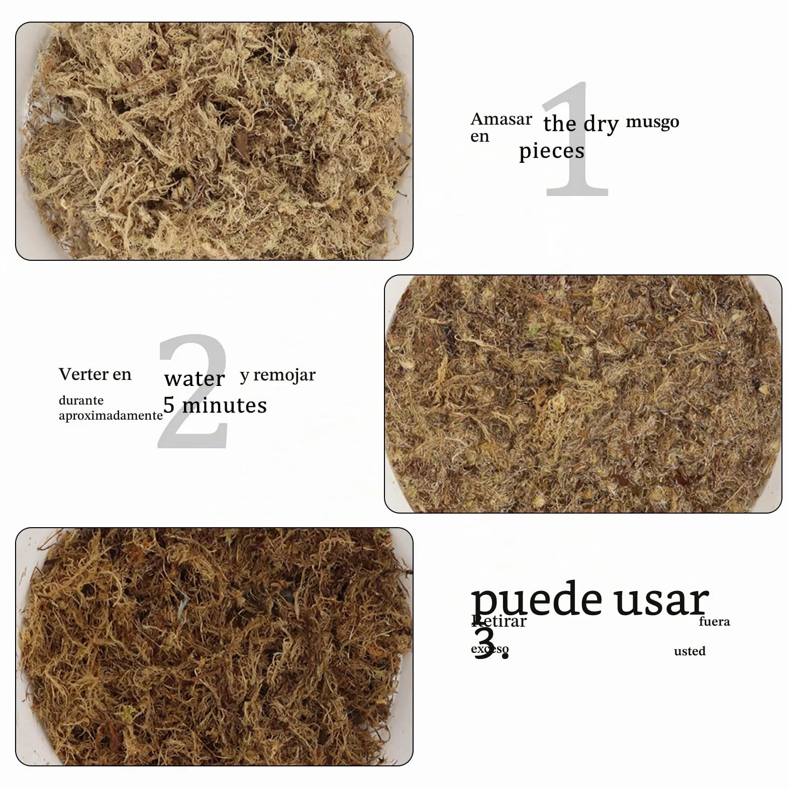 CATELL 190 g de musgo Sphagnum para plantas, terrario, tortuga y plantas de interior