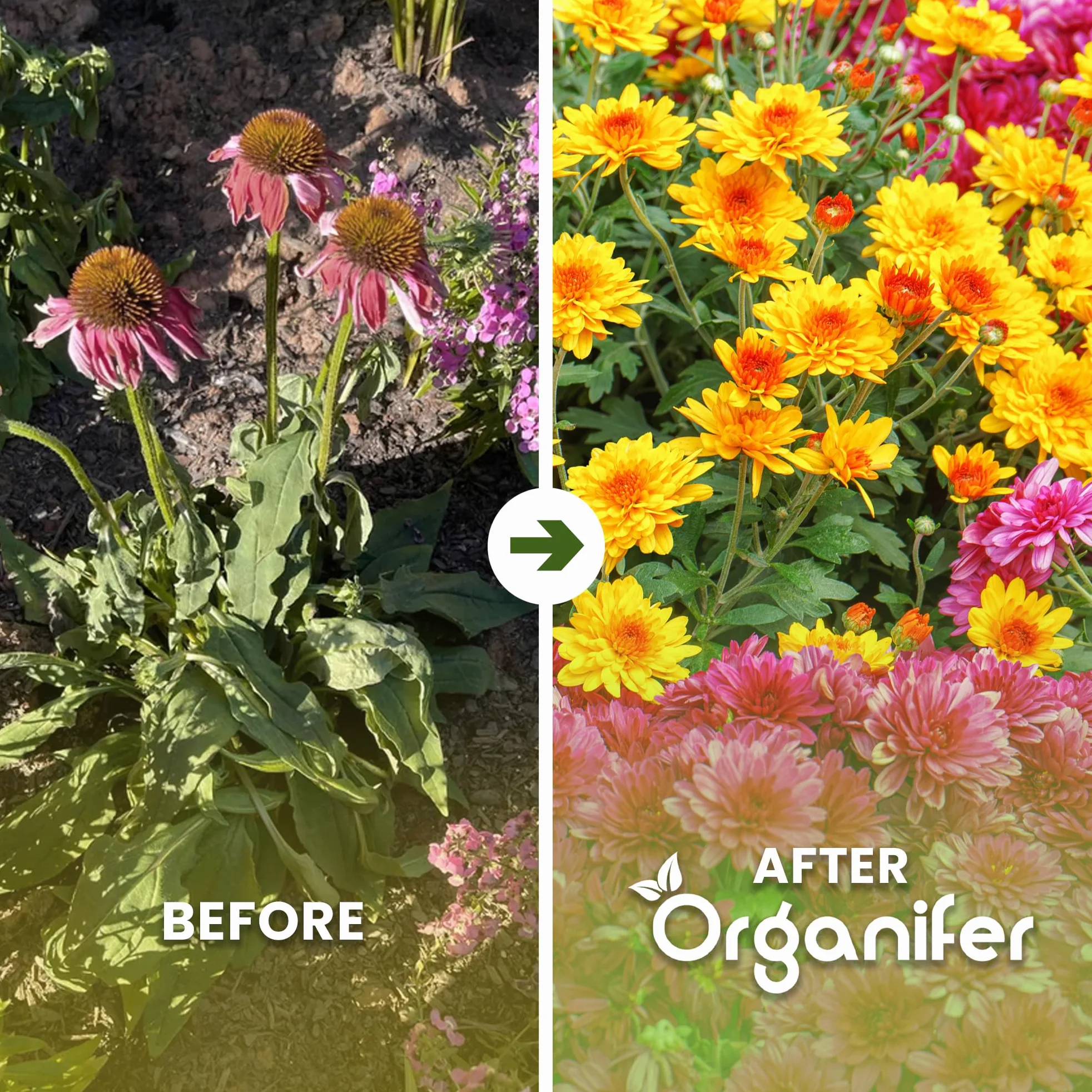 Fertilizante Líquido - 5x1L - Para Flores - NPK 3-4-3 | Plantas Fuertes Y Floración Abundante - Organifer