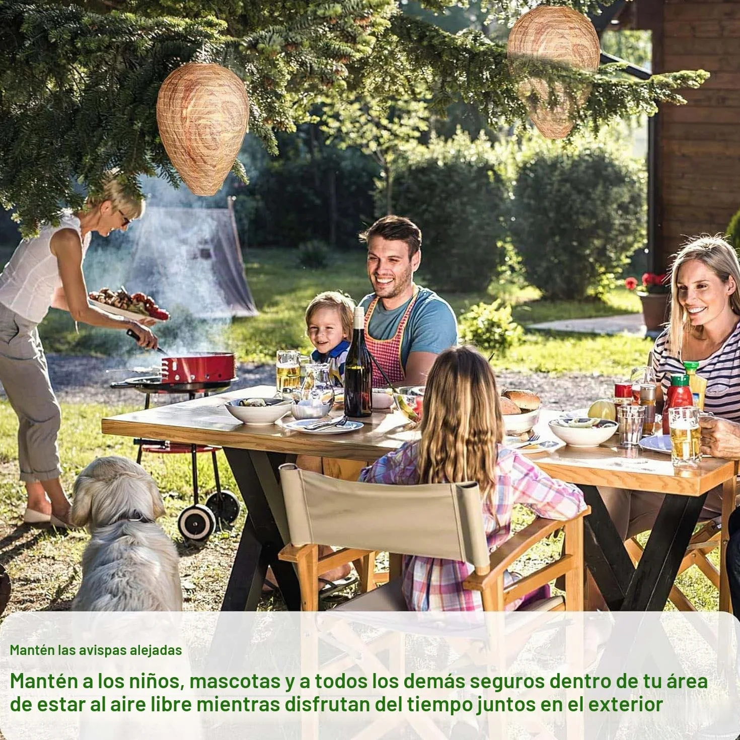 5 Piezas de Nido de Avispa Artificial, Nido de Avispas de Suspensión, Preventivo Contra Avispas, Colmena Artificial, Casas y Jardines Para Defenderse de Las Avispas.