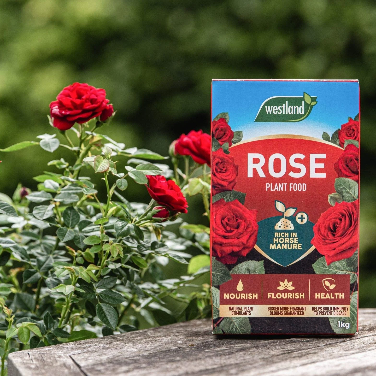 Westlands Horticulture Ltd - Fertilizante (Rosa)