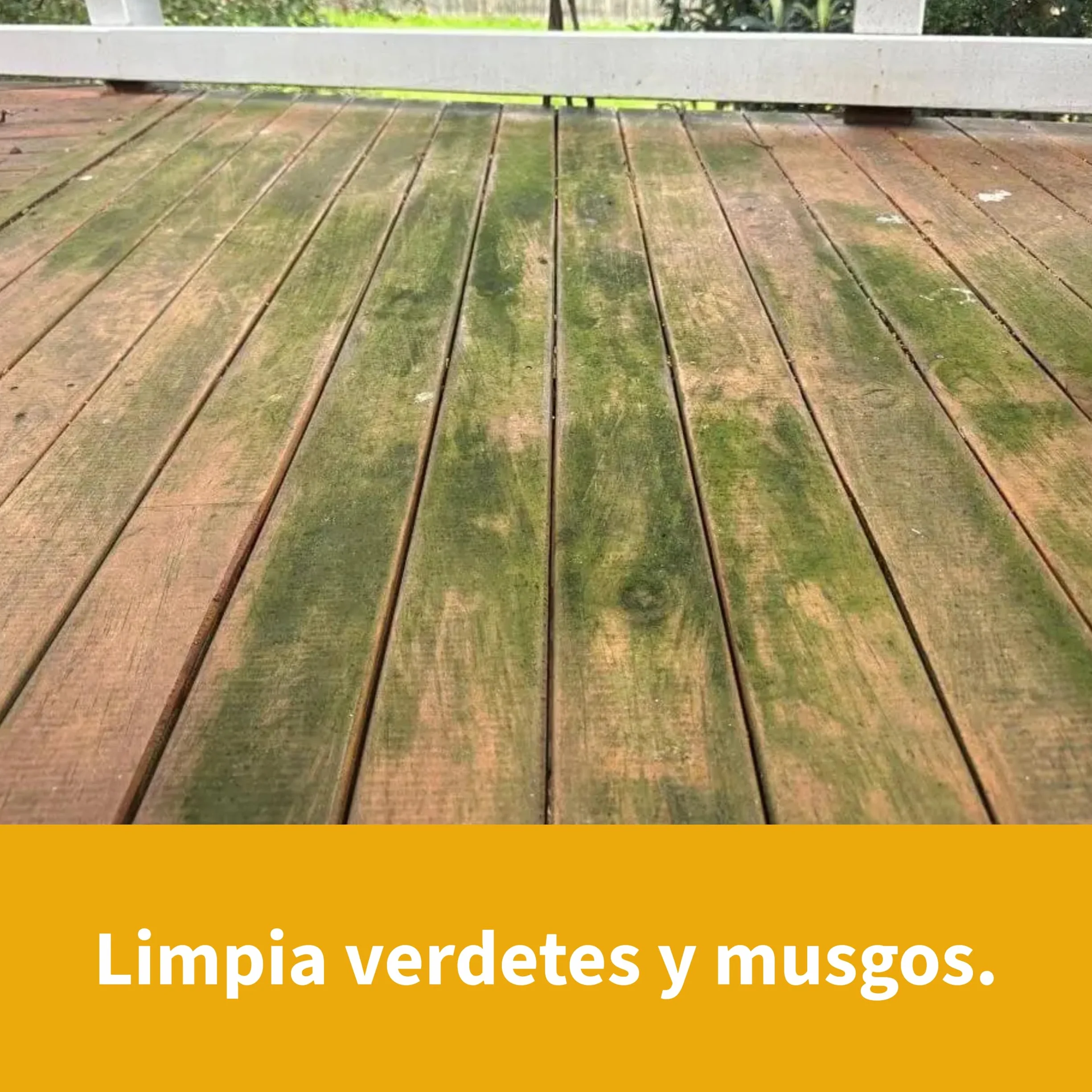 Limpiador Professional de Madera Exterior 5L para Jardín, Decks, Vallas y Puertas Envejecidas con Rendimiento hasta 50 m² contra Musgo, Manchas y Humedad