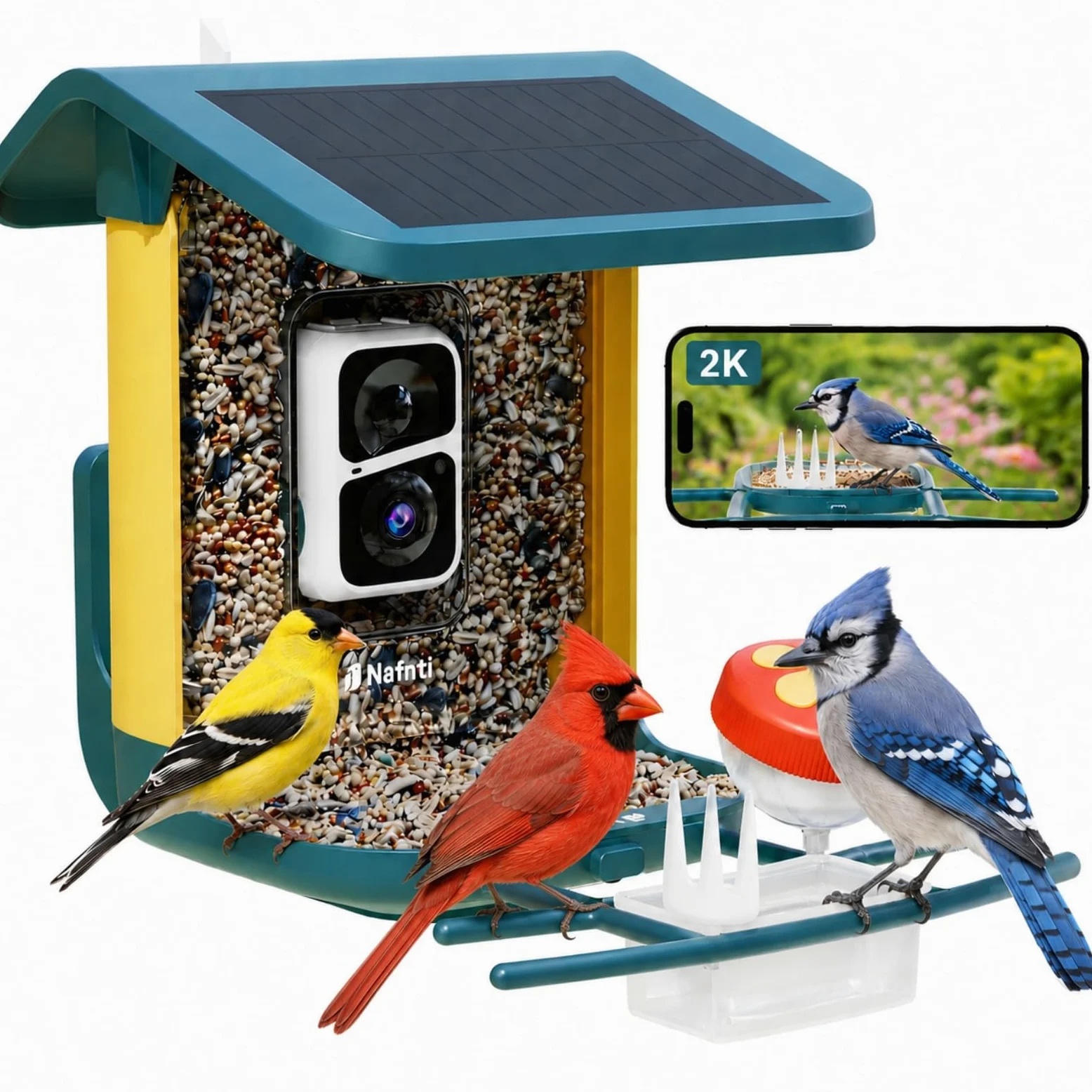 Comedero para pájaros con cámara alimentada por energía solar, 2K HD Live, AI Bird ID 1.8L