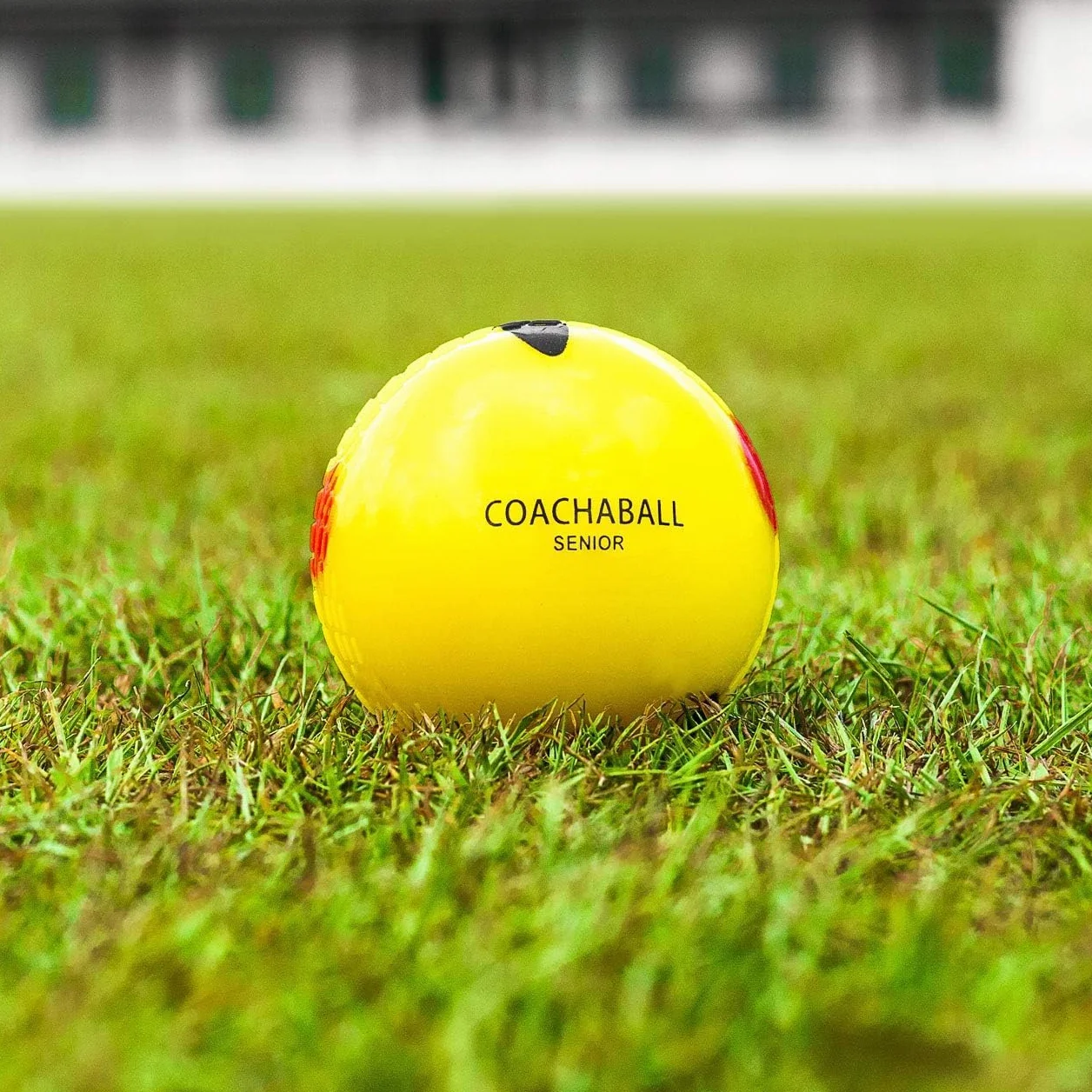 FORZA Fortress Pelotas de Cricket Paquete de 6 Práctica Junior Senior Bolos Juego de Plástico Entrenamiento