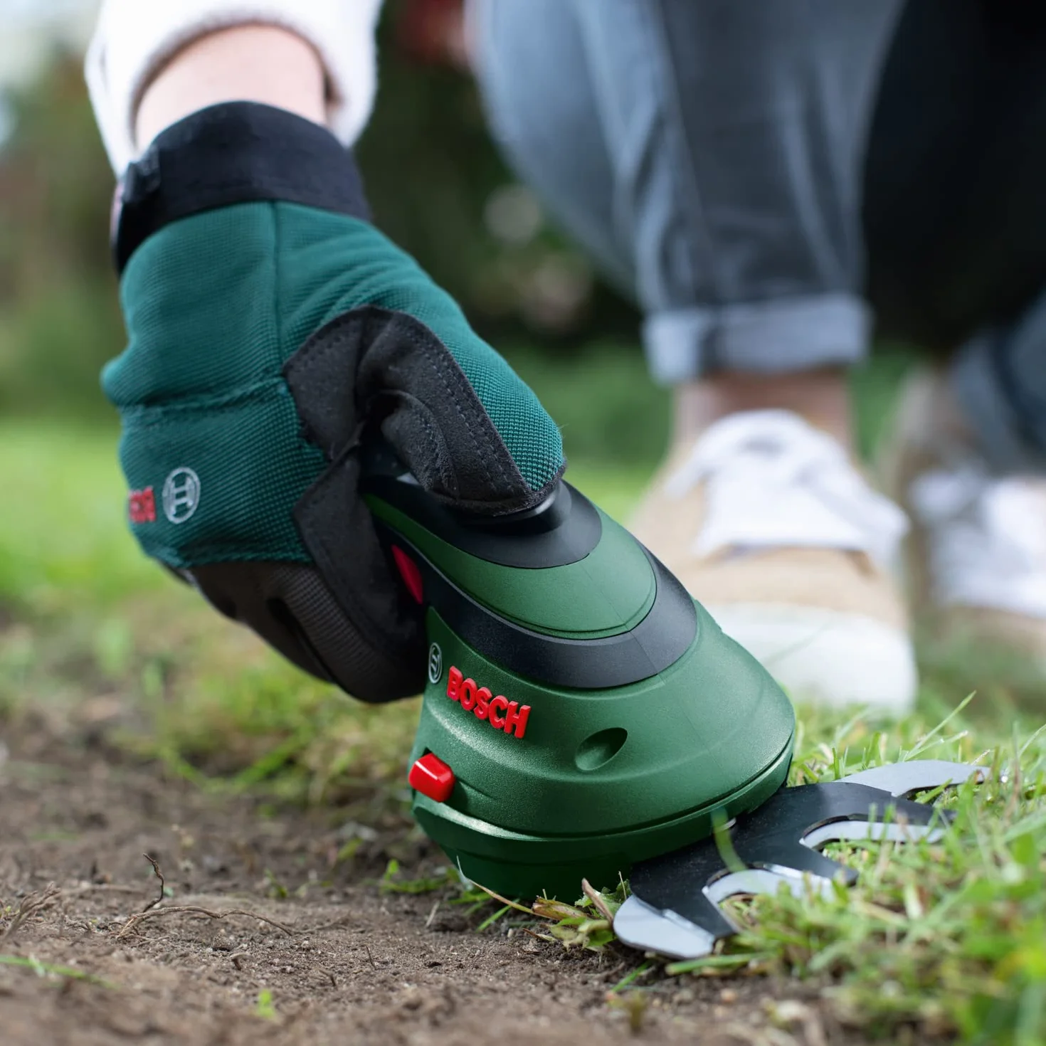 Bosch Set de Tijeras cortacésped a batería Isio | 3,6 V, longitud de cuchilla 12 cm, distancia entre cuchillas 8 mm, guantes de jardinería XL incluidos - Amazon Exclusive