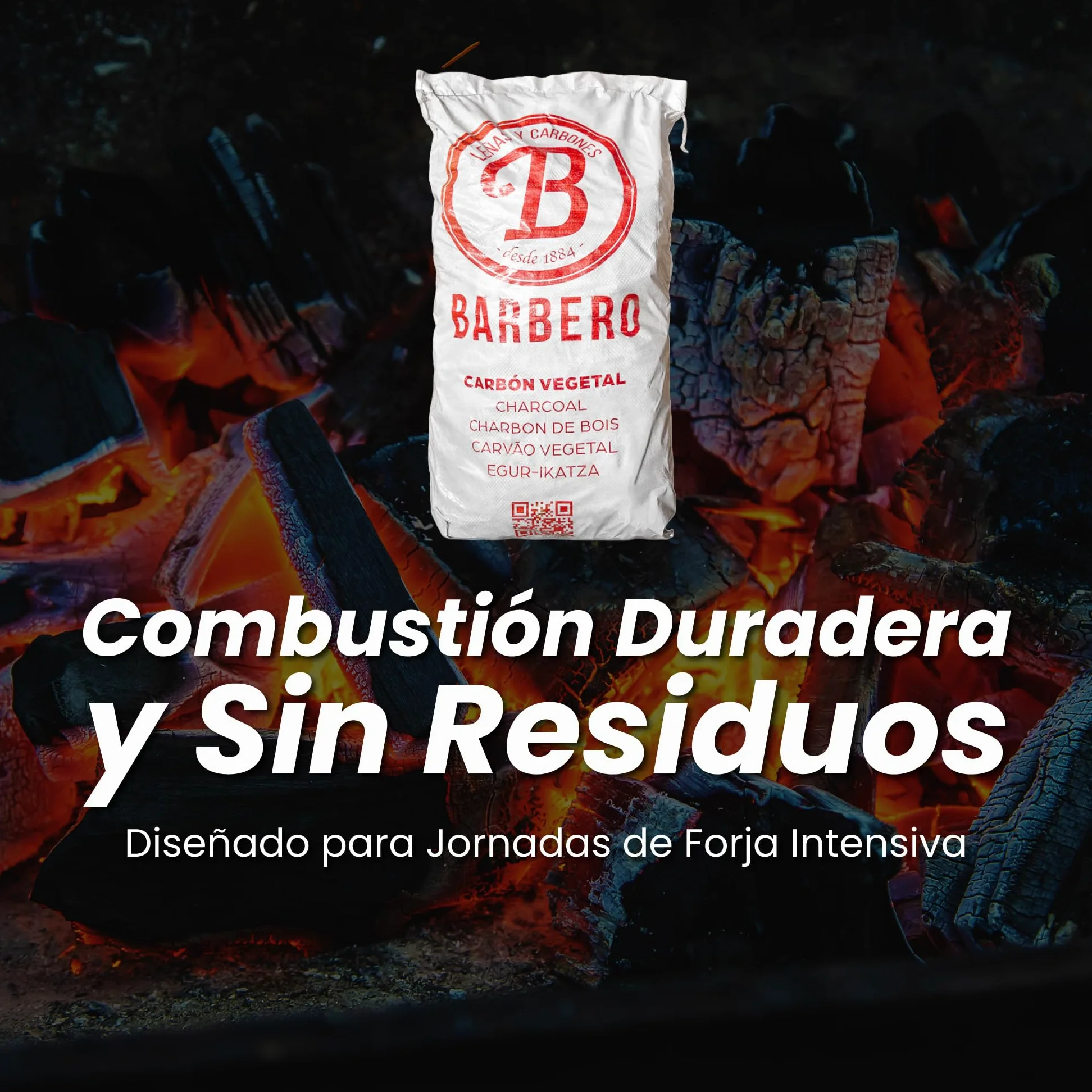Palet Carbón Vegetal Encina 100 Natural Grueso Profesional 30 Sacos 20kg Hostelería Aroma Sabor Carnes Pescados Combustión Lenta Sin Humo Alta Temperatura Cocina Exterior Parrilla Gourmet