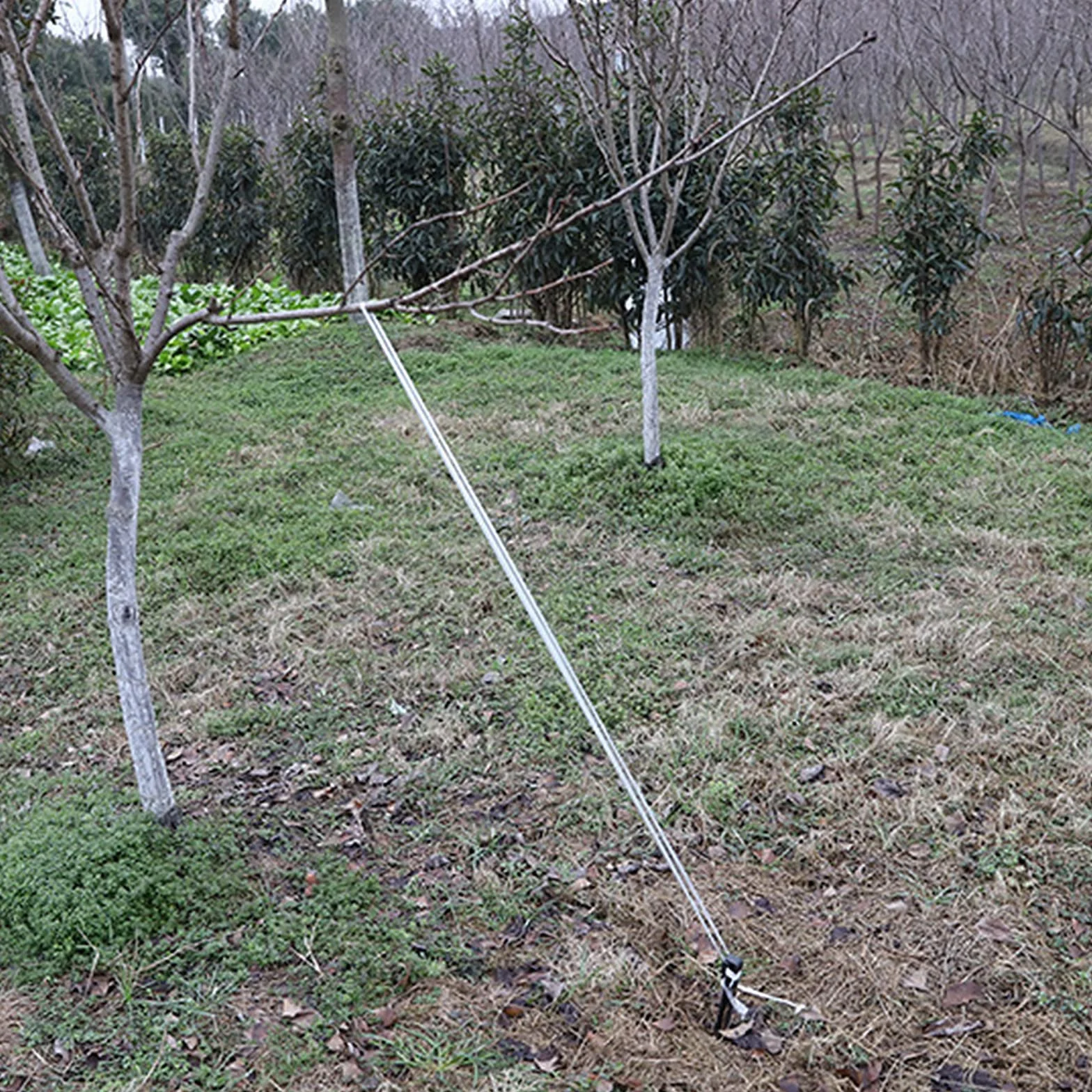 Estacas de Anclaje para Bordes de Paisaje, 20 PIEZAS Clavos de Plástico Duro para Tienda|Clavijas para Deprimir Ramas de Fruta|Pasadores de Césped, 25 CM