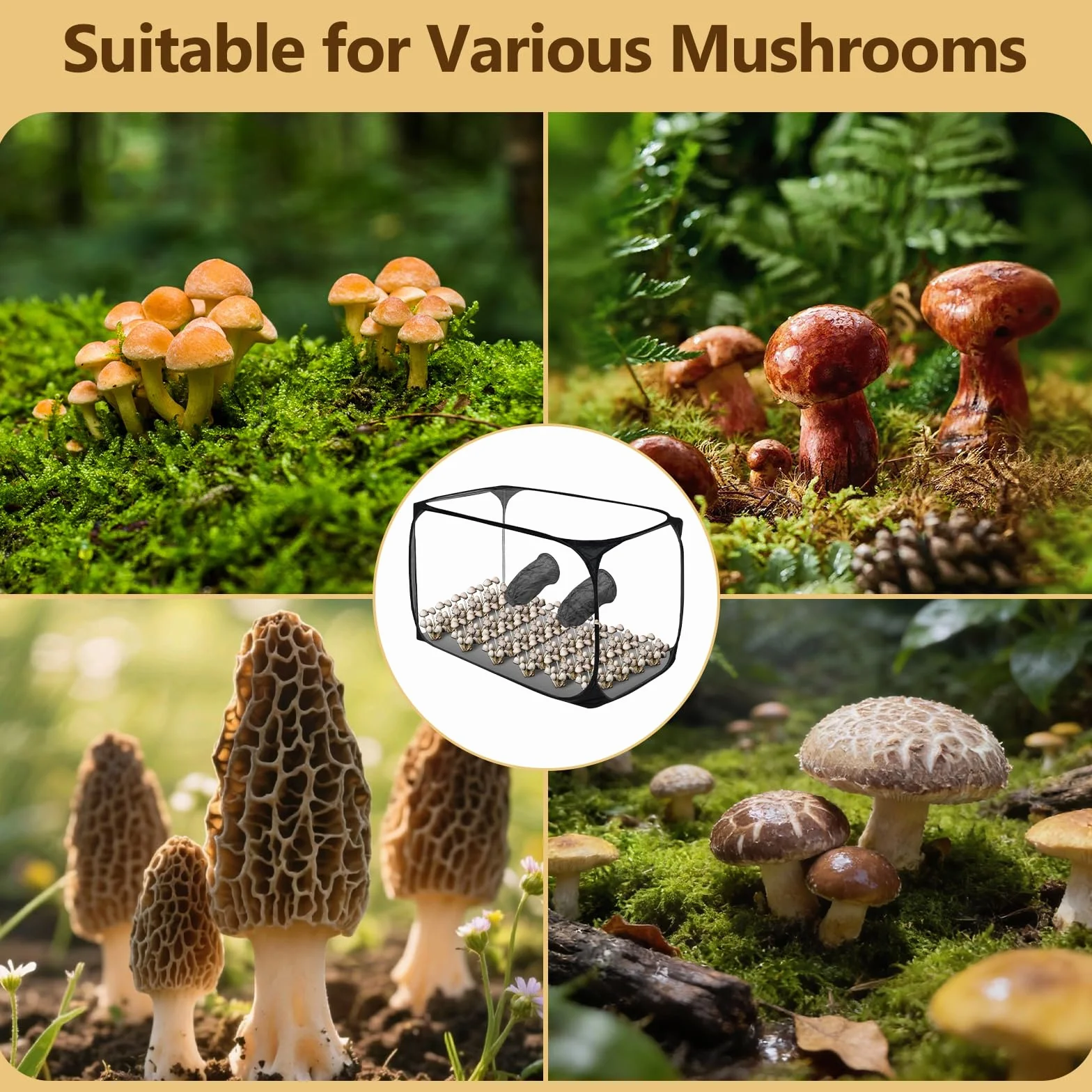 Tienda de cultivo de hongos grande de 82 x 52 x 52 cm, caja de cultivo de setas, caja de cultivo de hongos con caja de aire silenciosa, tienda de cultivo portátil y plegable con dos aberturas para