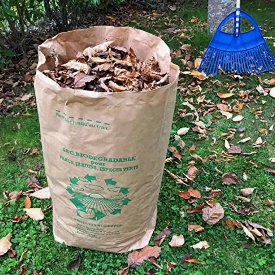 Juego de bolsas de residuos vegetales 100 L | Papel Kraft ultrarresistente | Par de guantes de jardín ofrecidos | Ideal para jardines familiares y mantenimiento de casas individuales (25)