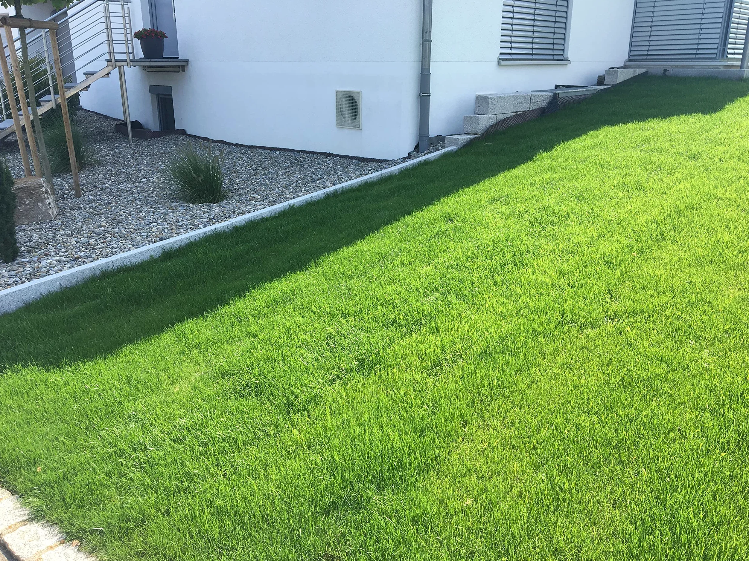 Easygreen Wollrasen 12 m² esterilla de semillas de hierba 100% biodegradable