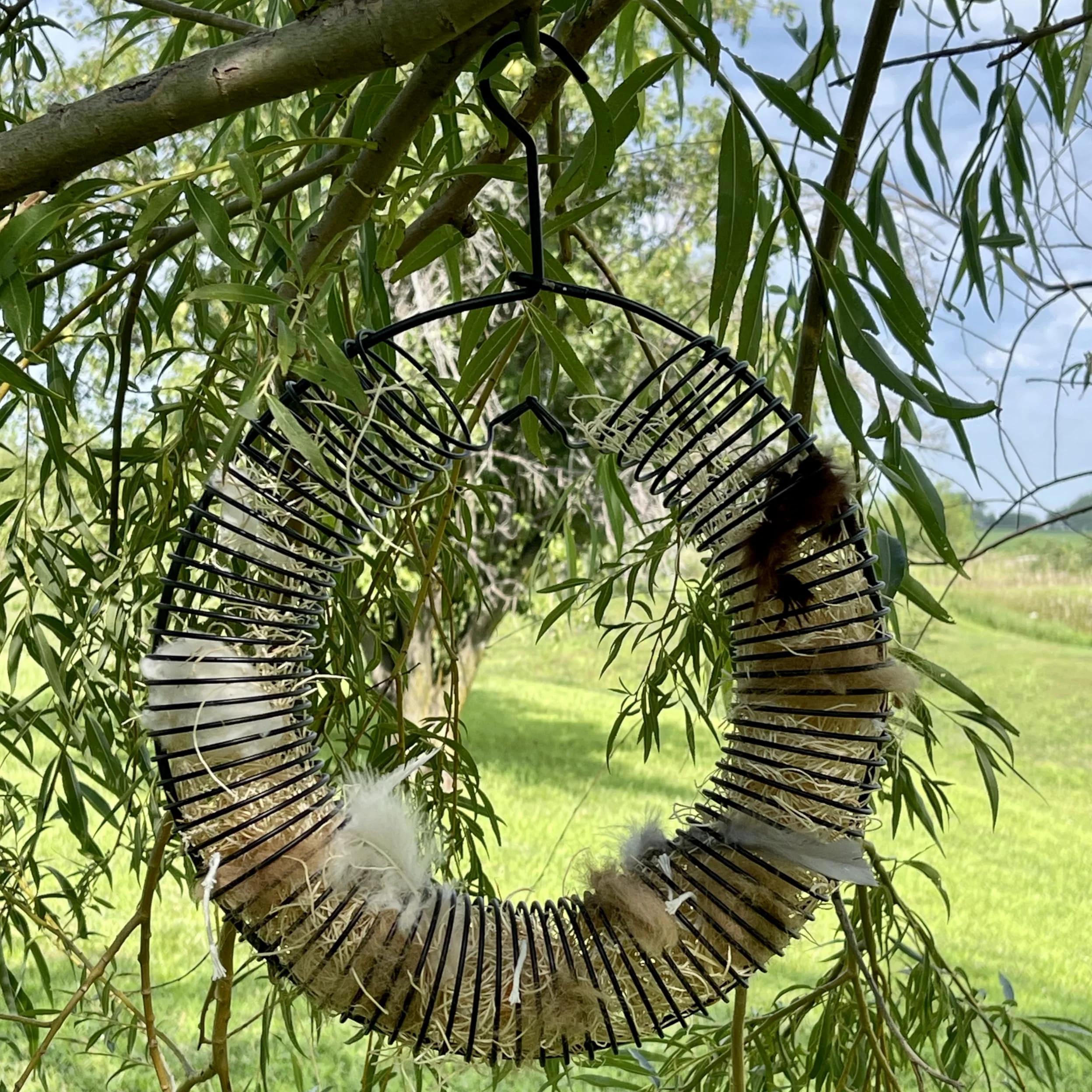 Songbird Essentials Nesting material