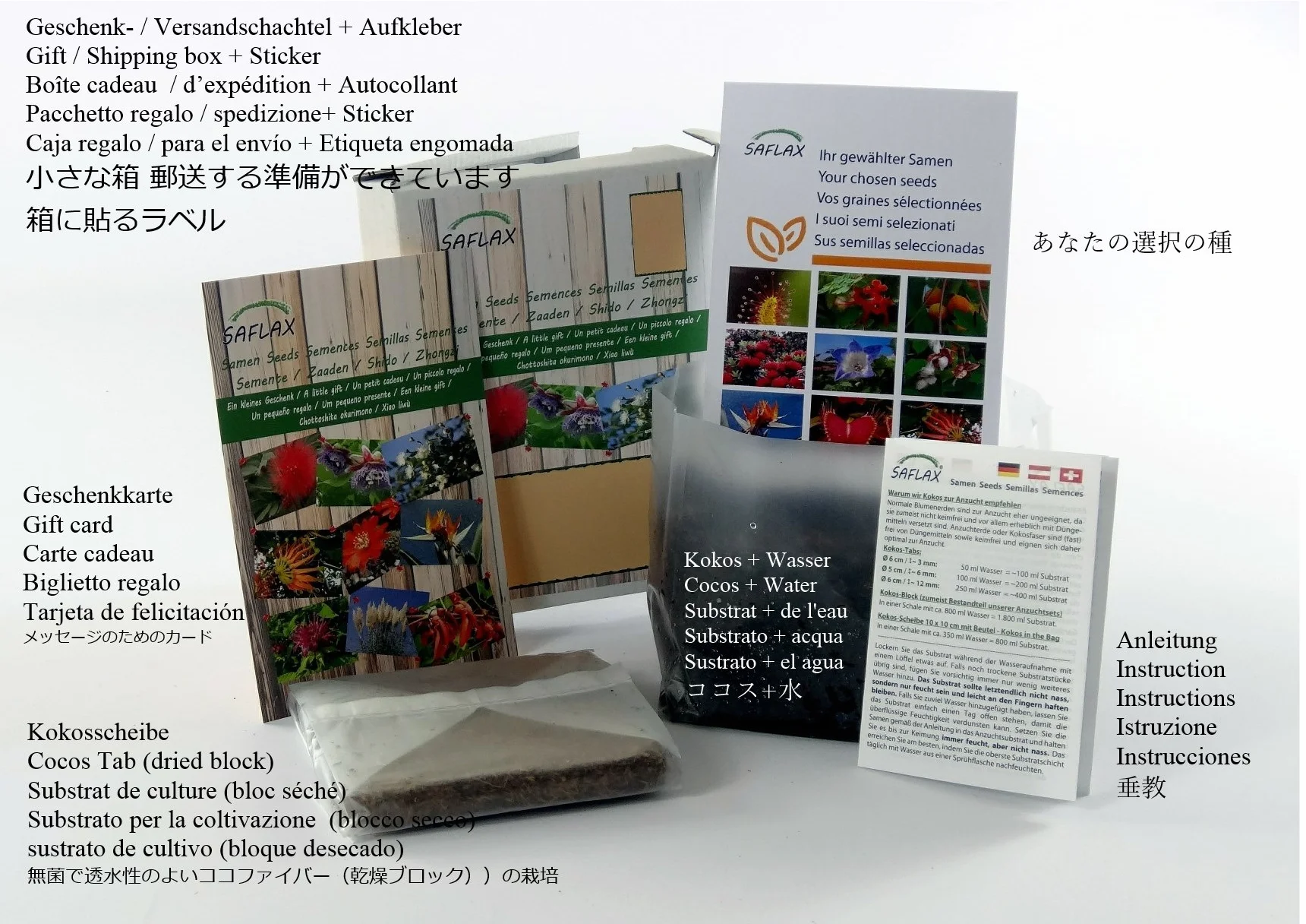 SAFLAX - Set regalo - Granado enano - 50 semillas - Con caja regalo/envío, etiqueta para envío, tarjeta de felicitación y sustrato de cultivo y fertilizante - Punica granatum nana