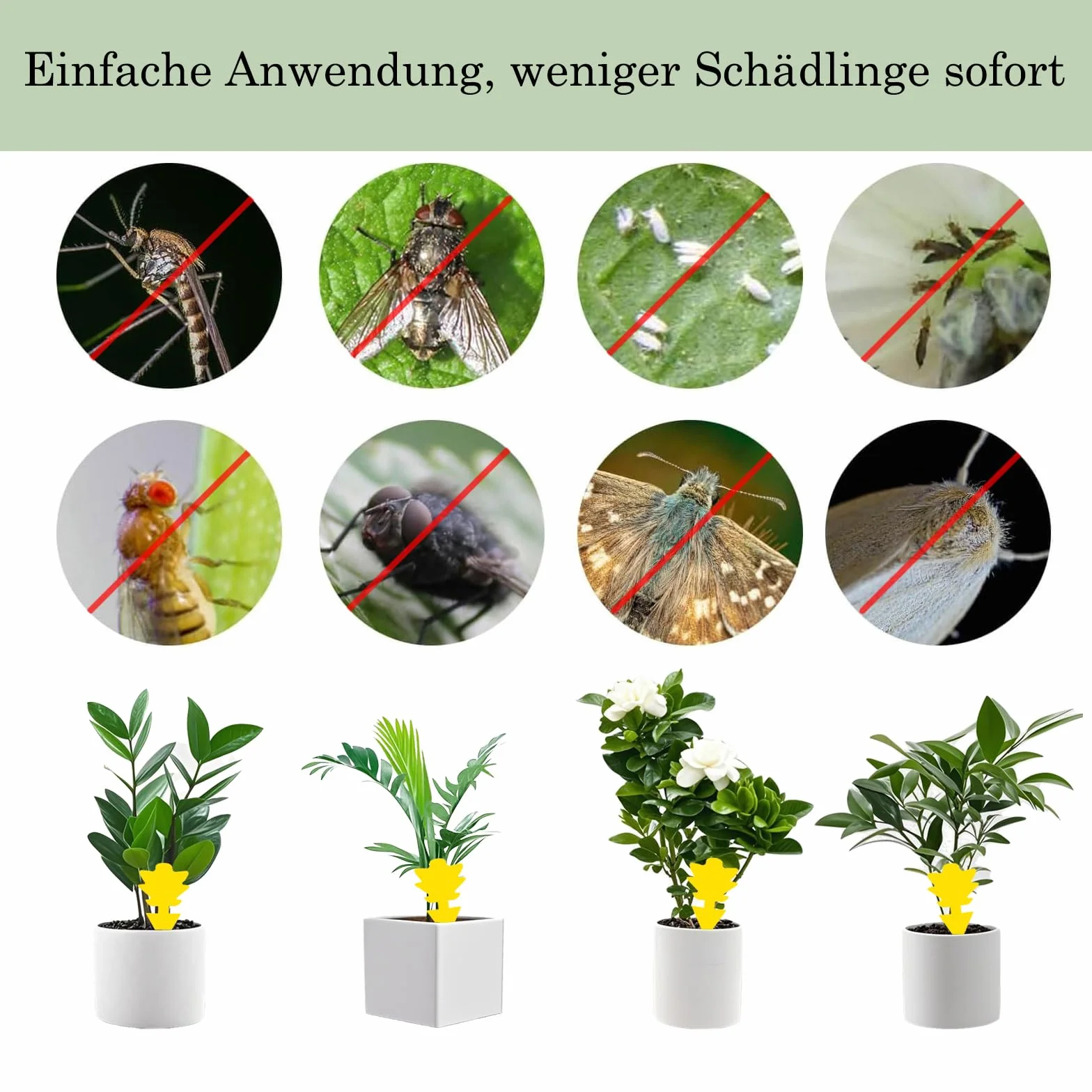 Trampas Adhesivas para Plantas 26 Unidades, Atrapa Moscas de Doble Cara para Interior y Exterior, Potente Control de Plagas No Tóxico para Mosquitos, Moscas de la Fruta y Pulgones
