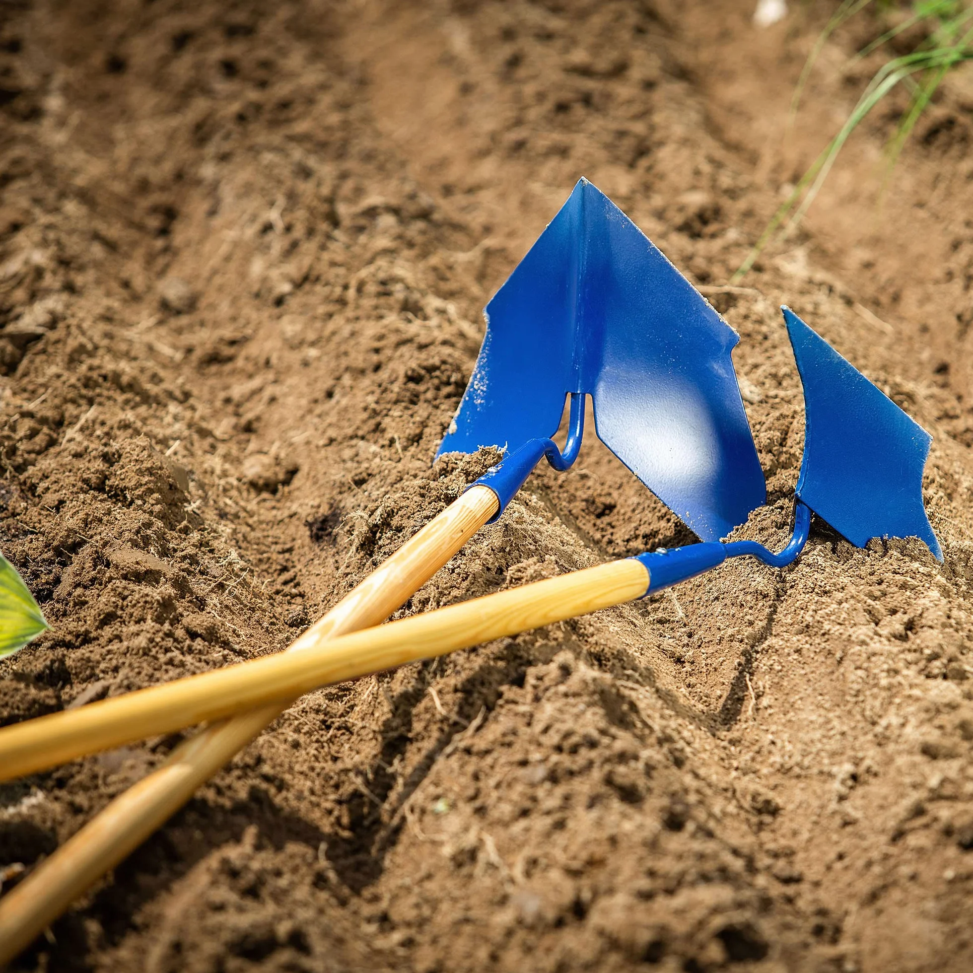 KADAX Pala de jardín de metal con mango de madera y recogedor de patatas, herramienta de jardín para atrapar patatas y verduras (ancho: 14 cm)