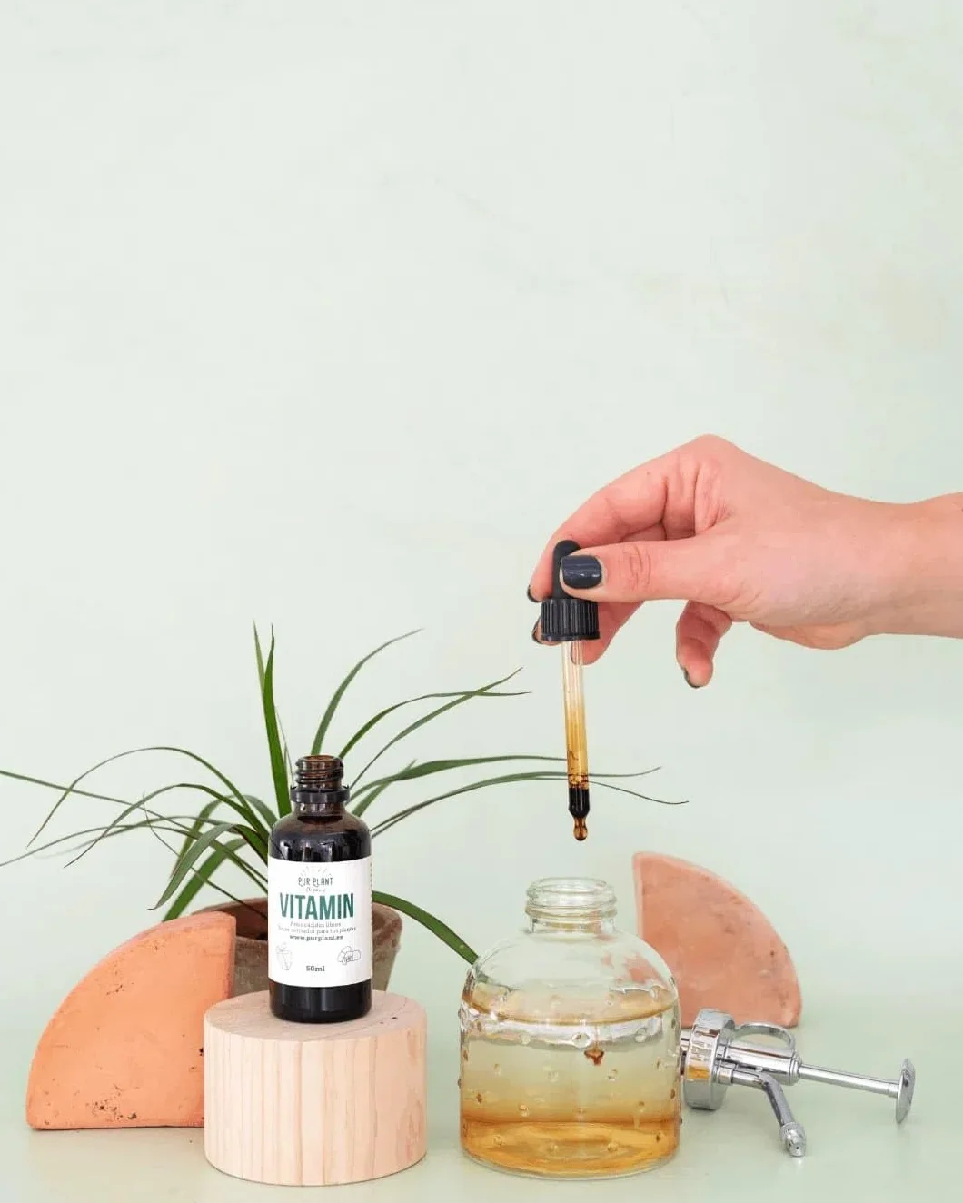 PUR PLANT Vitamin Aminoácidos Libres 50 ml | Superactivador Natural para Plantas | Recuperación y Estimulación Vegetal